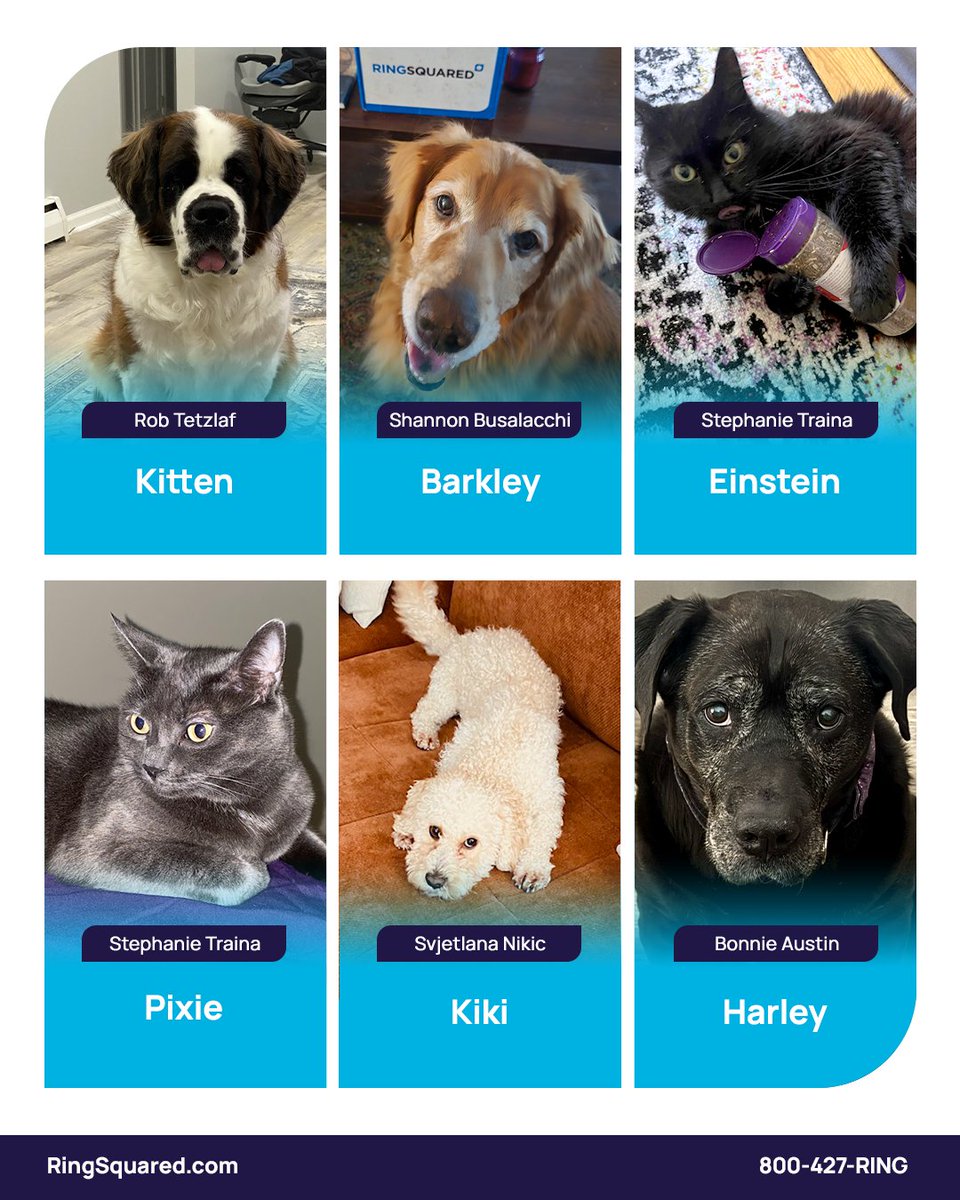 RingSquared tweet media