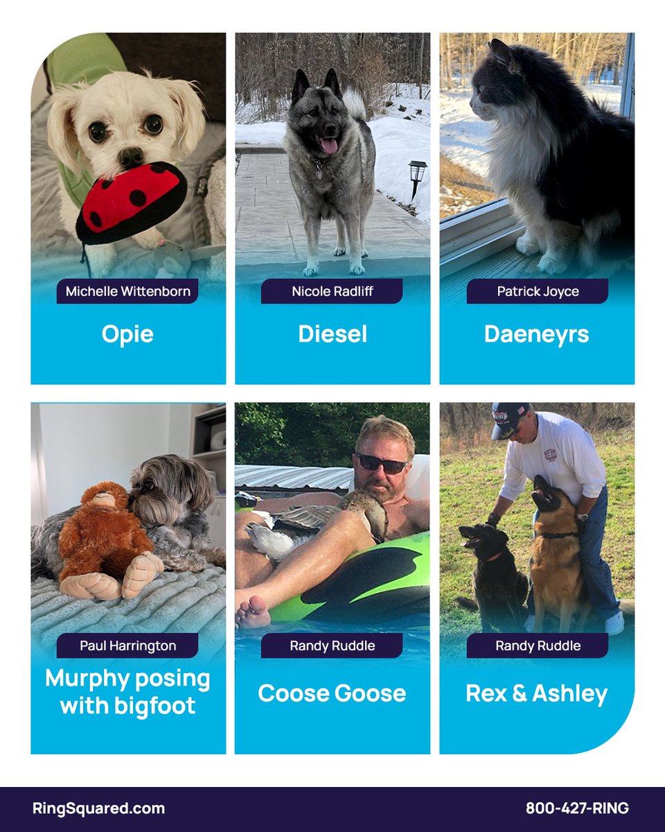 RingSquared tweet media