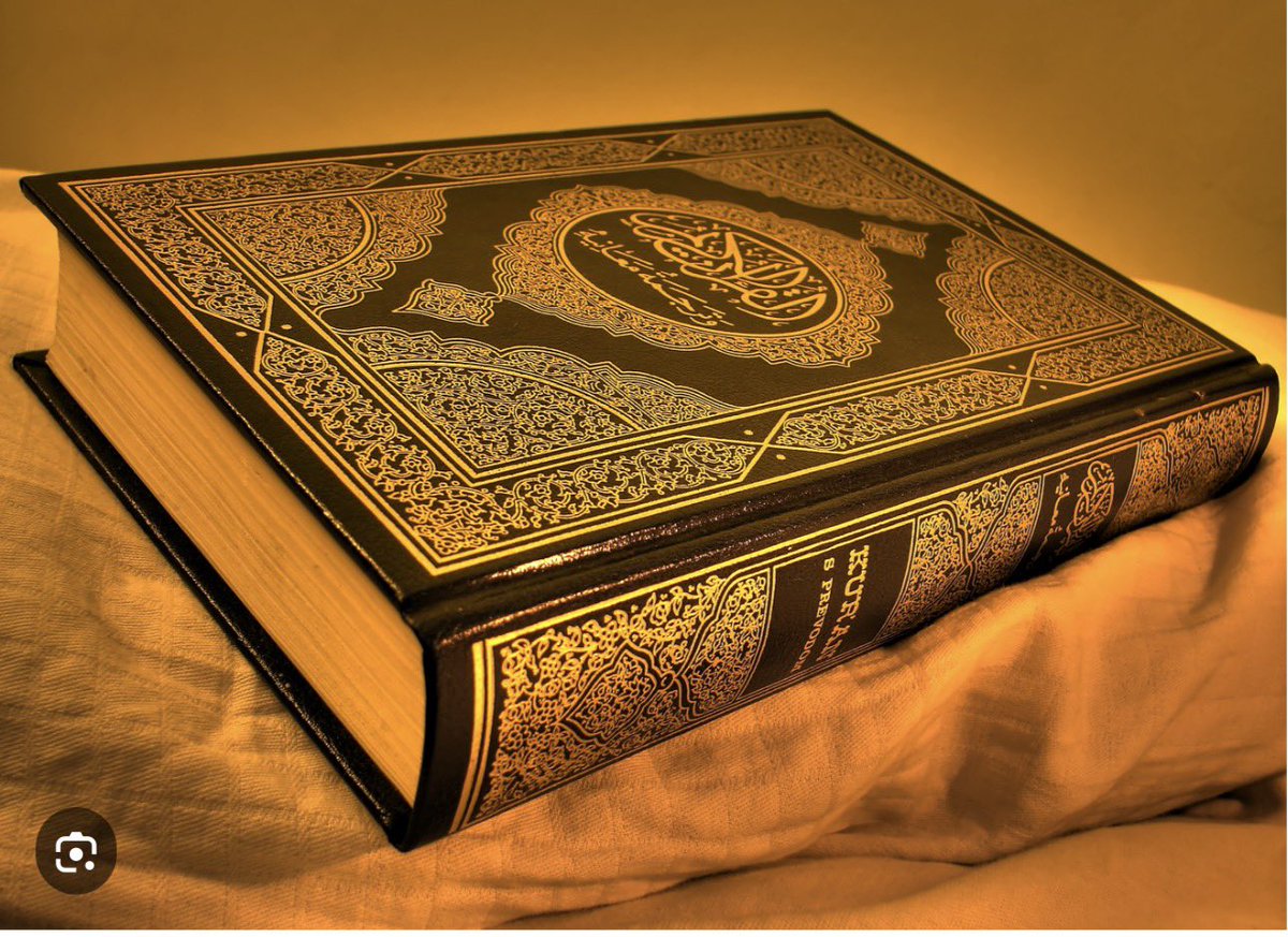 Nebojsa Medojevic tweet media