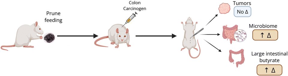 🔬 RicardoMontes tweet media