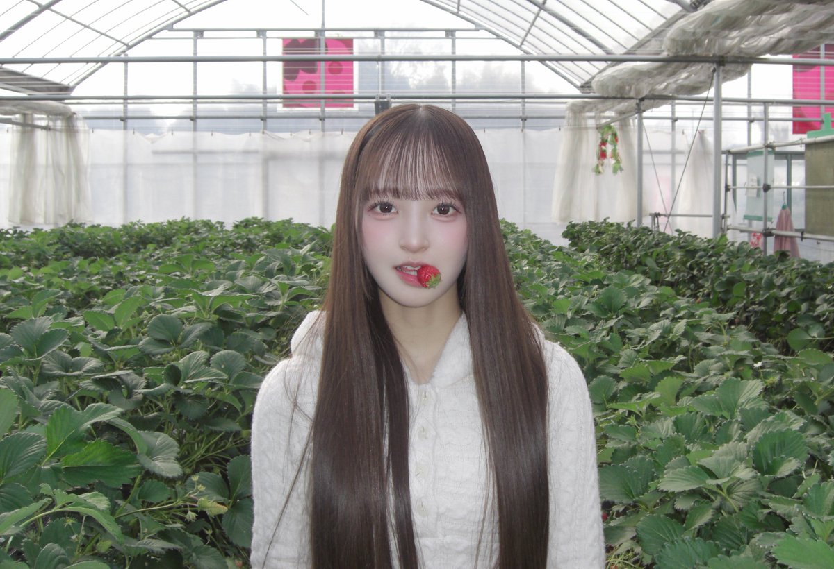 こるね 【あいこる/のんふぃく！】 tweet media