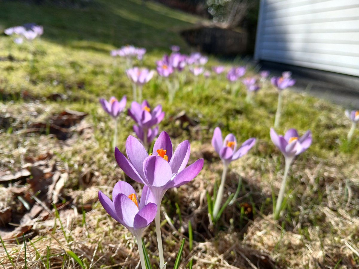 Iain Johnston tweet media