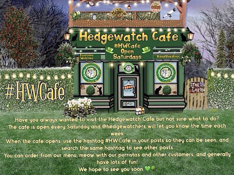 Hedgewatch tweet media