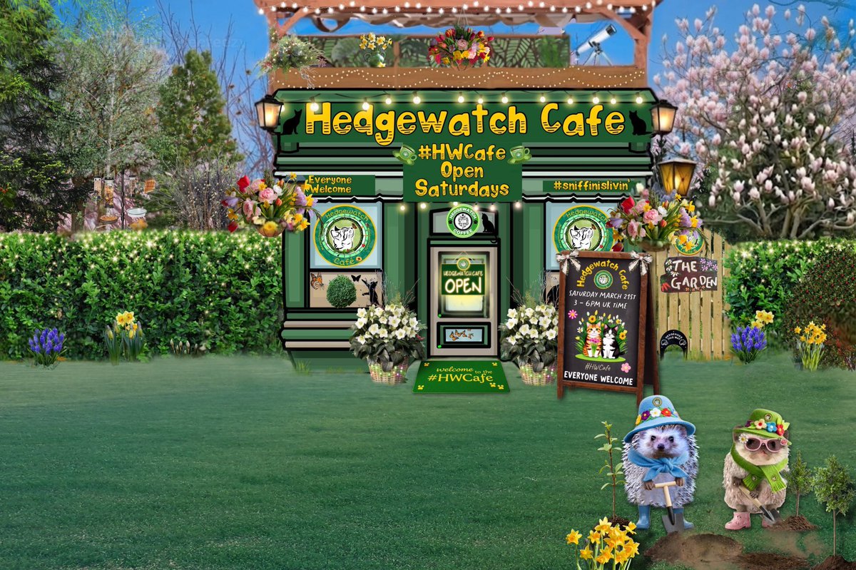 Hedgewatch tweet media