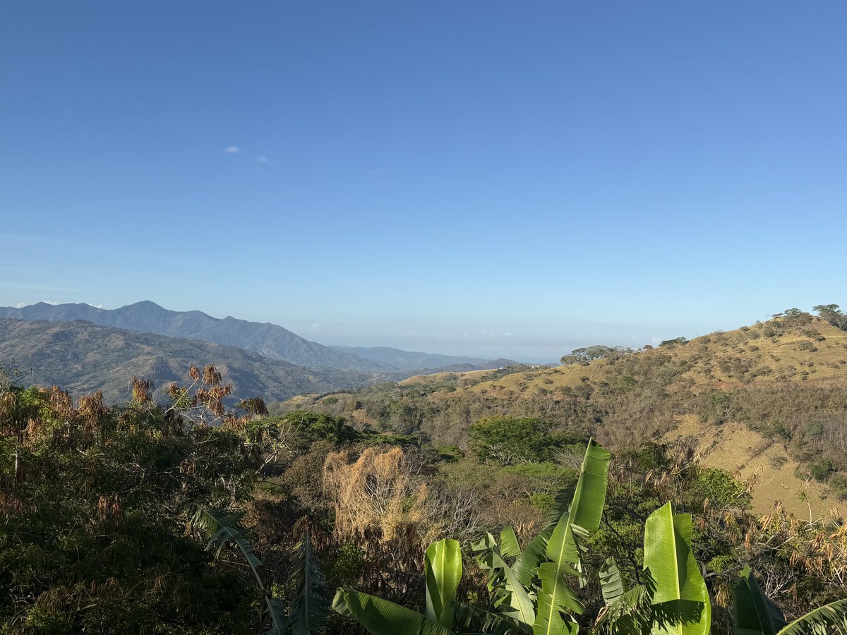 CR Volcano tweet media