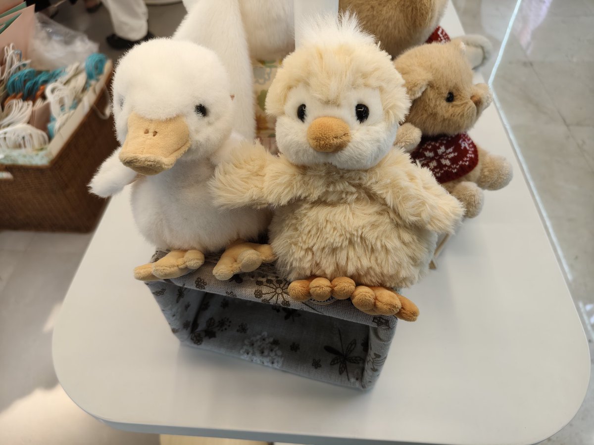 乌萨奇 tweet media