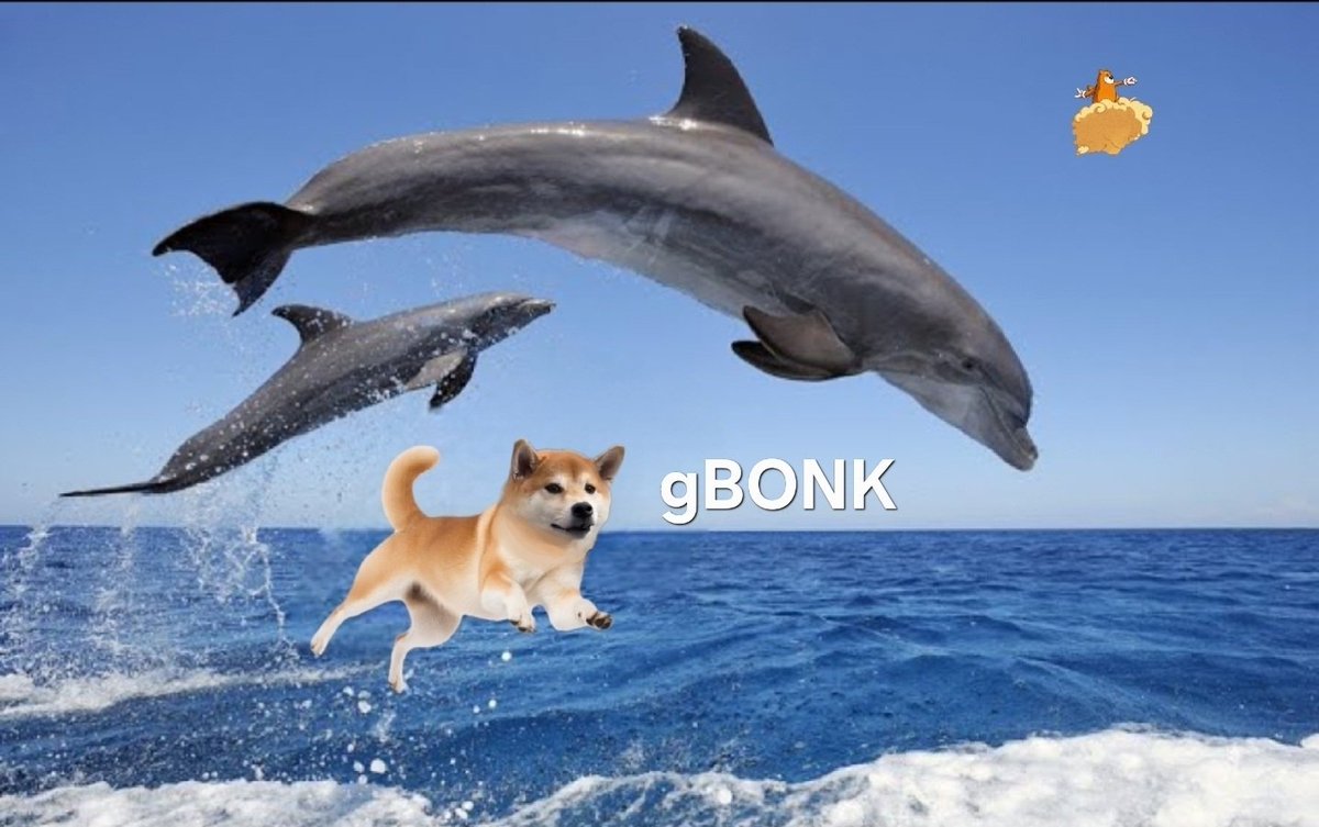 TONIC the Bonk Dog tweet media