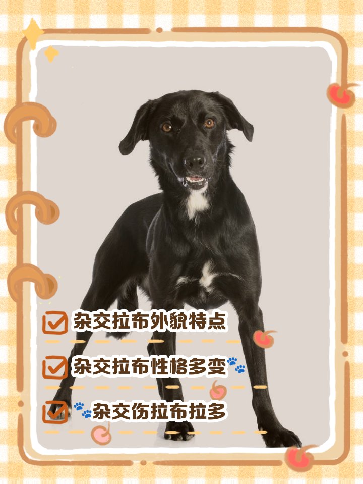 rosa ramirez tweet media