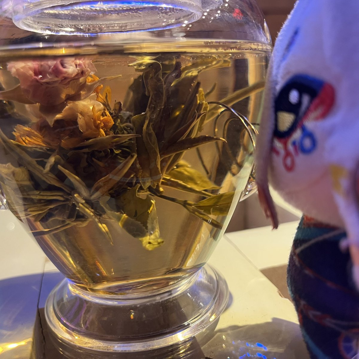 令和を楽しむ薬売りさん tweet media