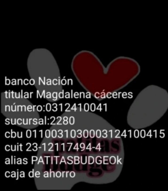 mpago.la/1BeEuRY 
4000

mpago.la/1eQBHXG 
5000

mpago.la/1ACDdaw 
8000

mpago.la/2XRAoKZ
9000

mpago.la/2Mno2ca
10000
ALIAS PATITASBUDGE
TITULAR MAGDALENA CACERES