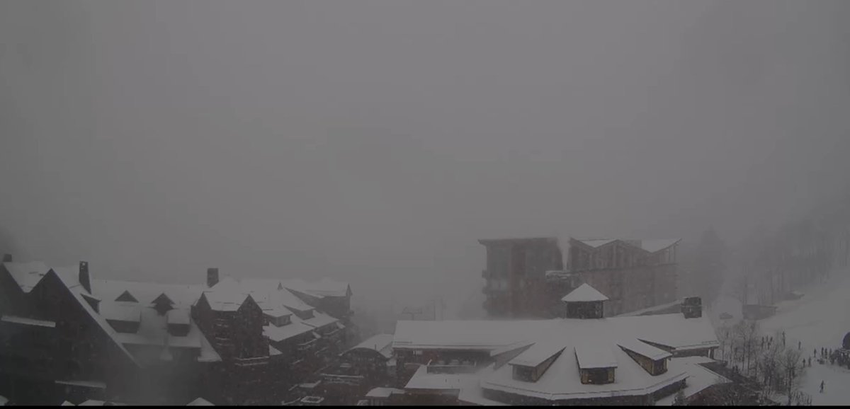 Tim Kelley tweet media