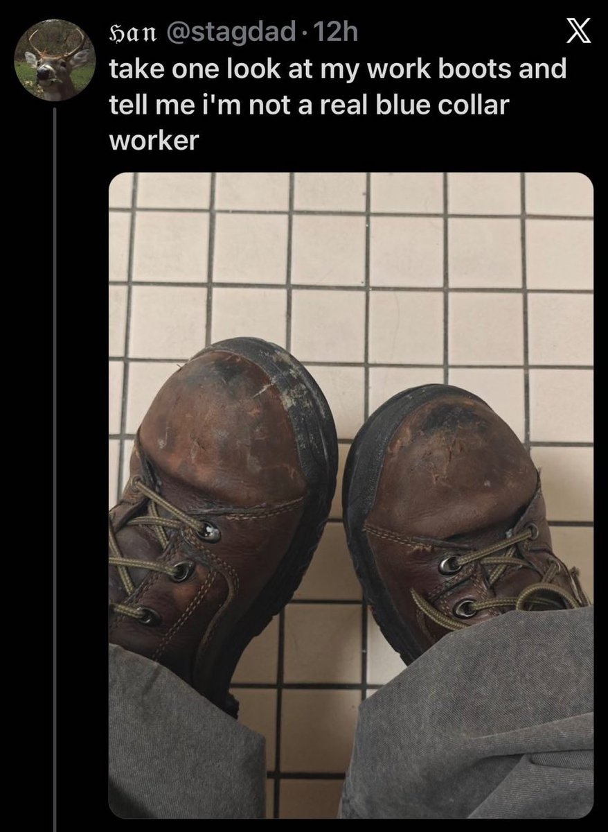 ✵ 𝐼𝑔𝑔𝓎 ✵ - RT pinned!! tweet media