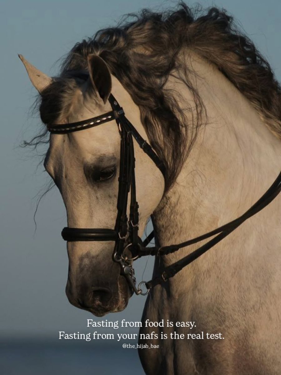 الرَّيَّان tweet media