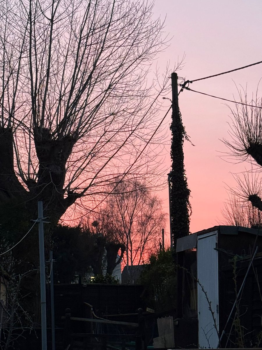 Red sky at night angel delight ! Or cottage pie potato potarto