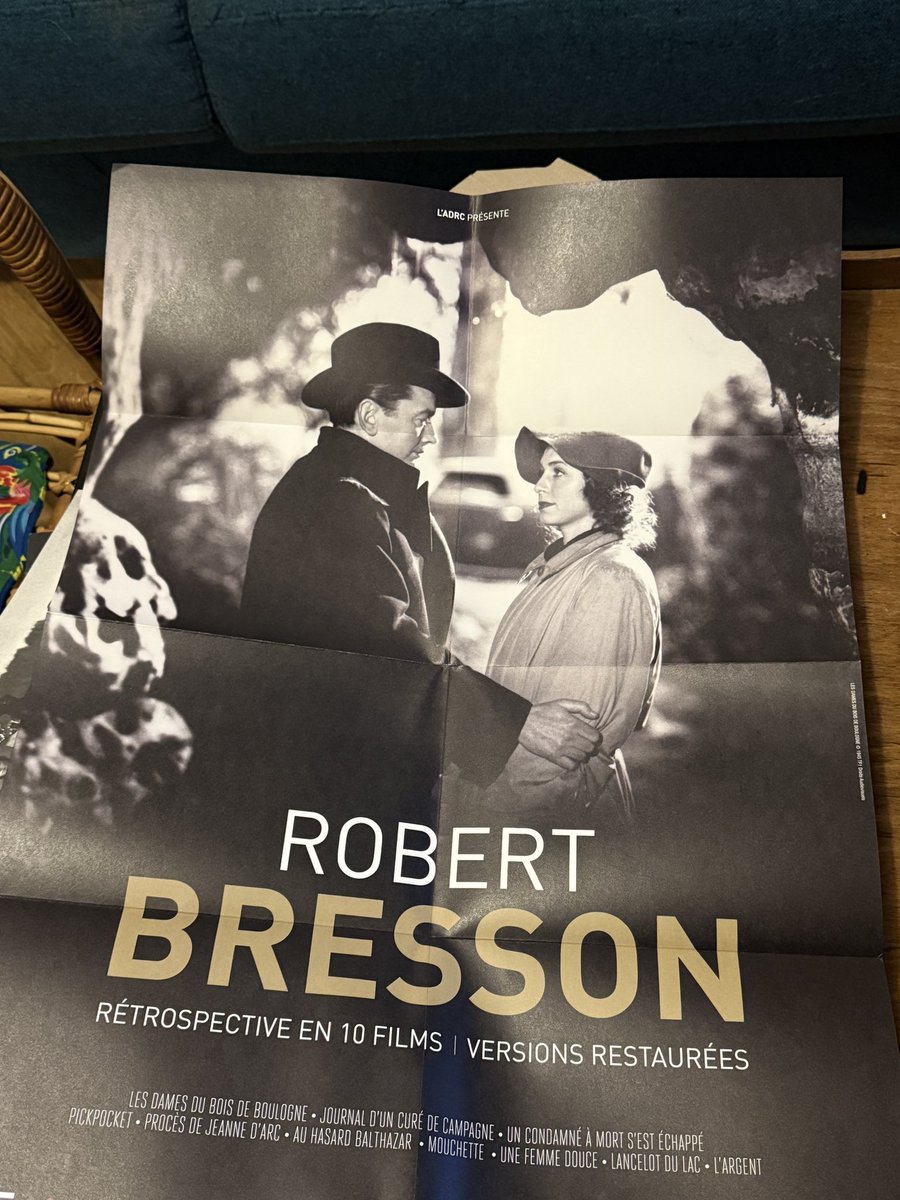 Amorphophallus 🦖 tweet media