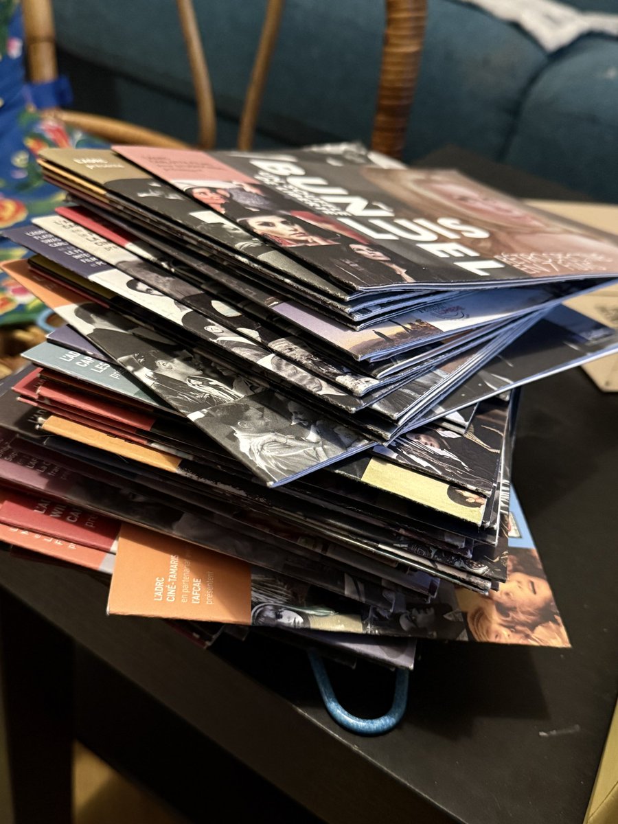 Amorphophallus 🦖 tweet media