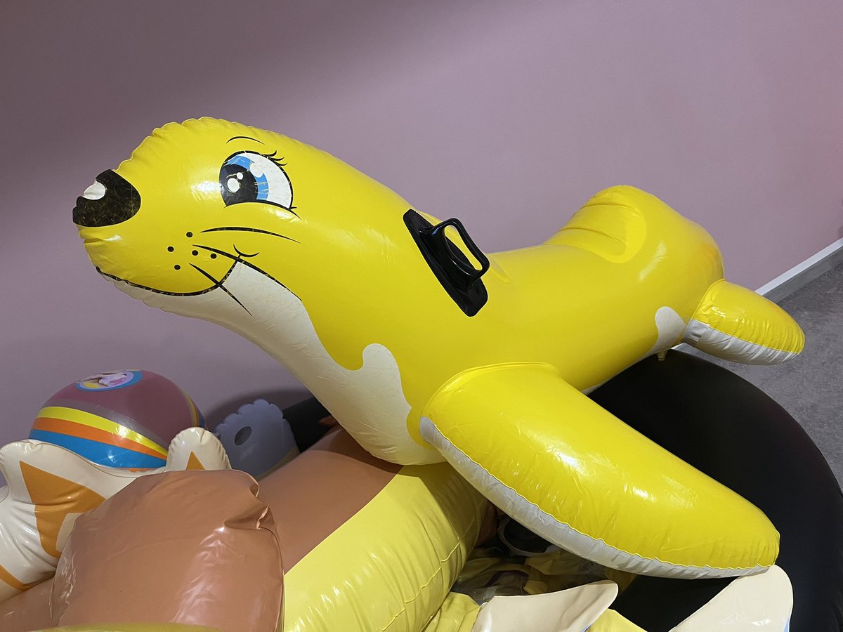 Gray (Grace) tweet media