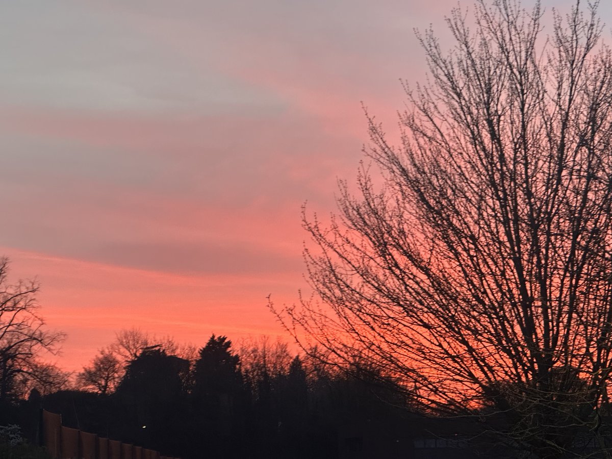 oliverek7 tweet media