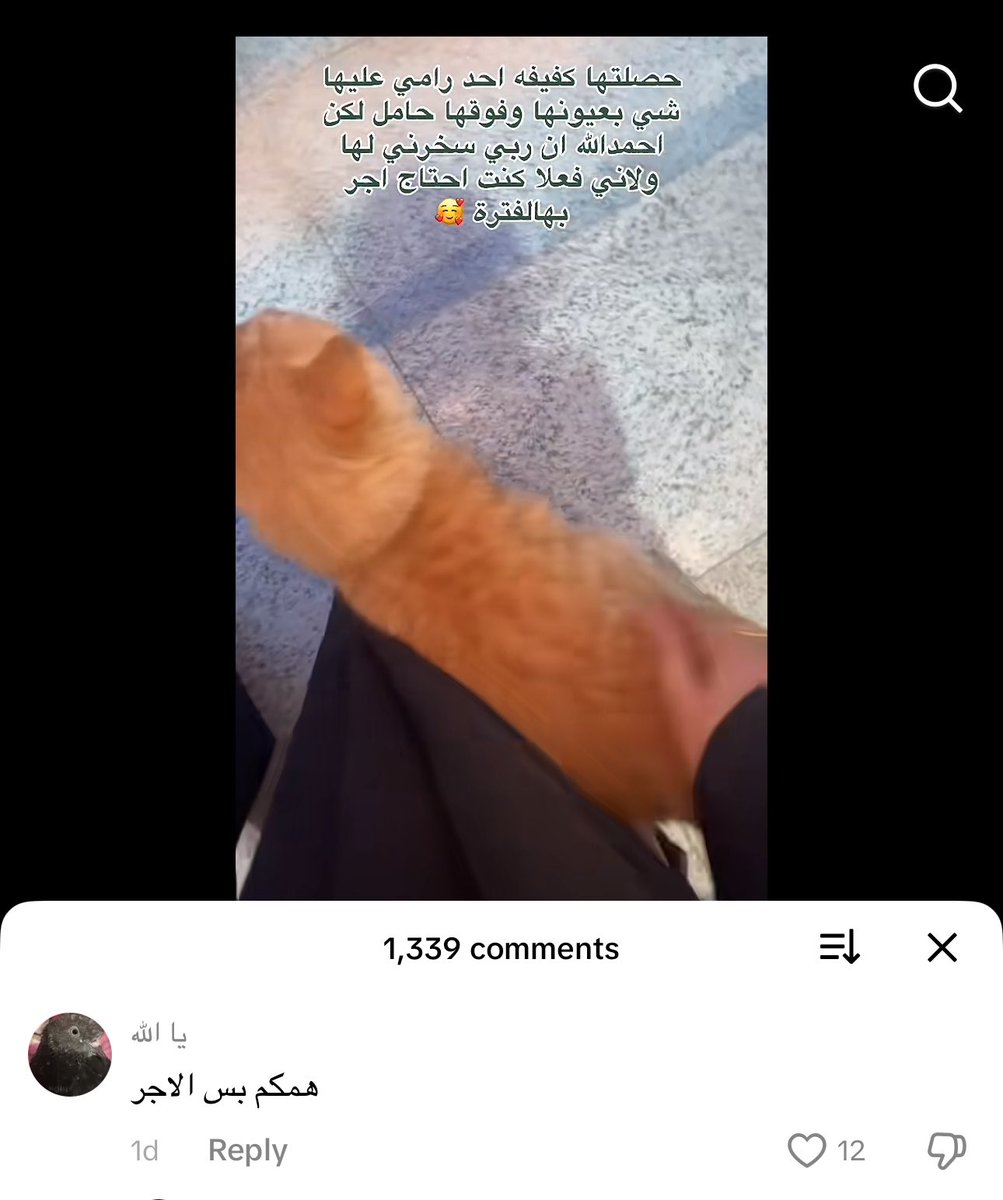 رزان tweet media