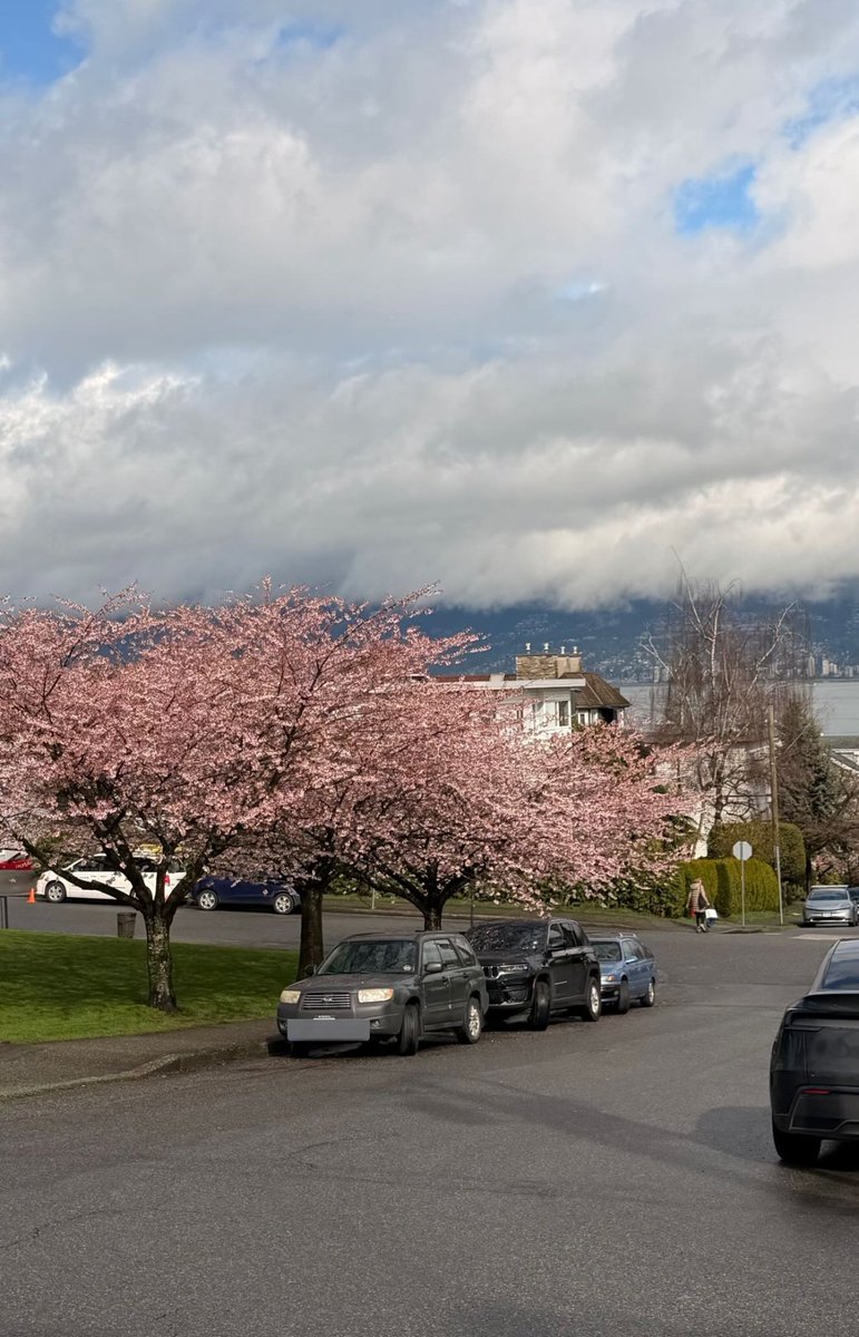 Robbie GK Updates tweet media