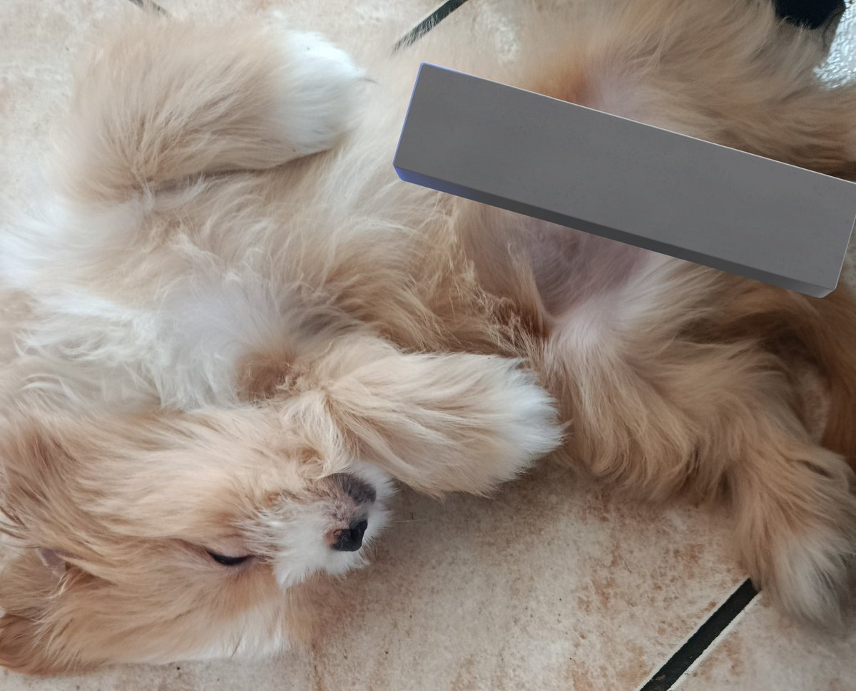 kat ｡𖦹°‧ tweet media