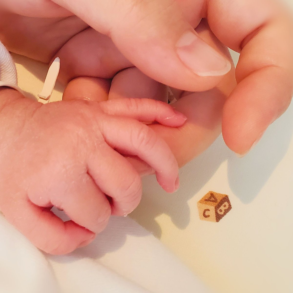 ひづき tweet media