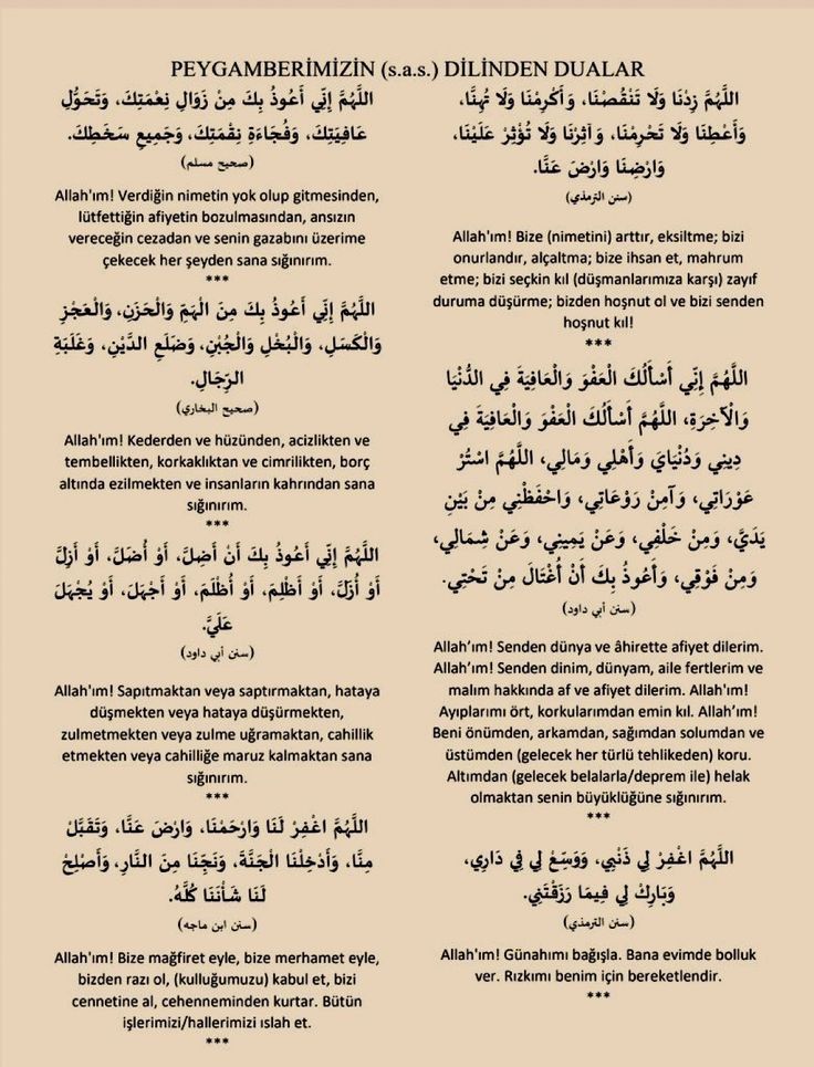 kalpileyasamak's tweet photo. Peygamberimizin dilinden 7 dua
Galerinizle bulunsun https://t.co/qO8iCIaYof