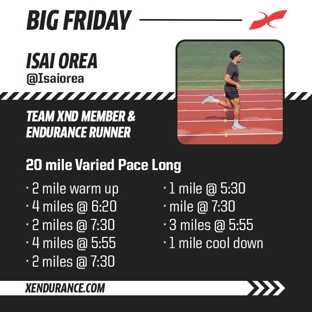 Xendurance tweet media