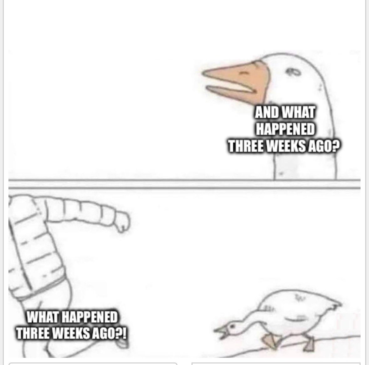 Emma Ashford tweet media