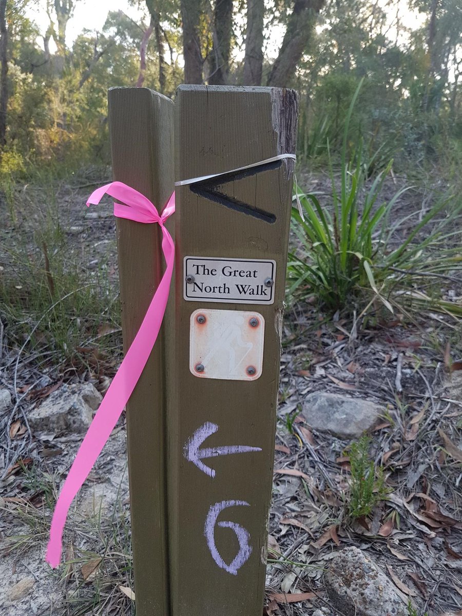 백종열 tweet media