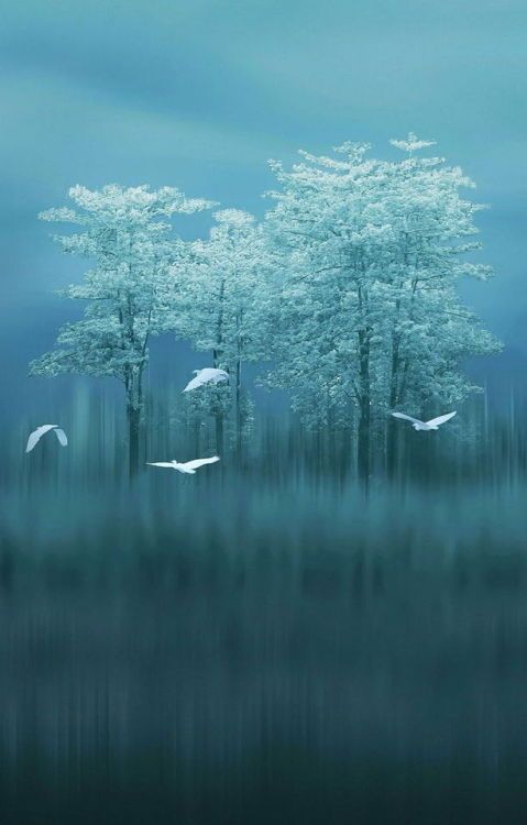 Non c'è amore del vivere
senza disperazione di vivere.

Albert Camus 

#LaVitaÈUnOrditoDaTessere 
#SalaLettura 
#Buonaserata ✨️🩵✨️