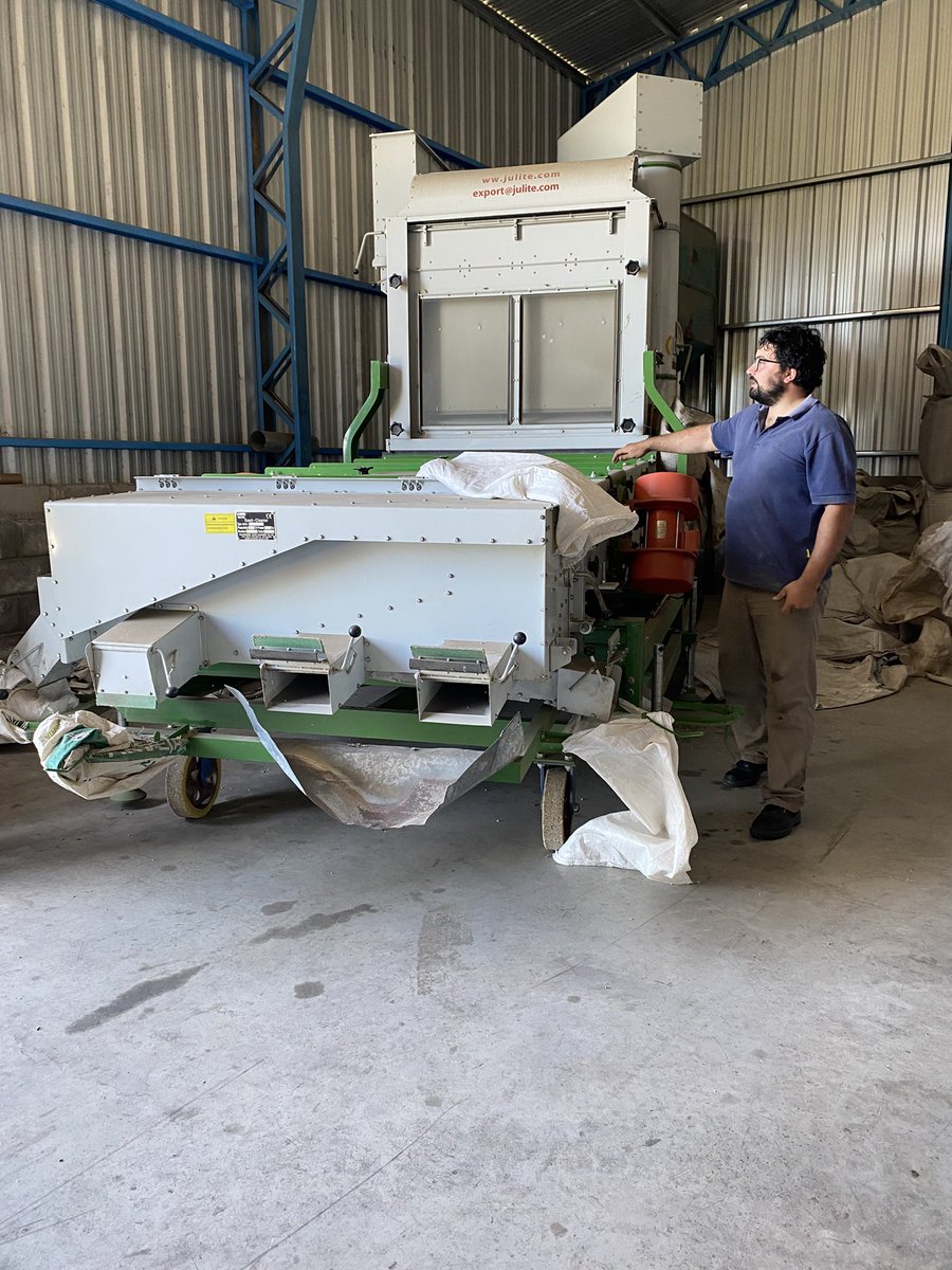 Regional Henderson Daireaux tweet media