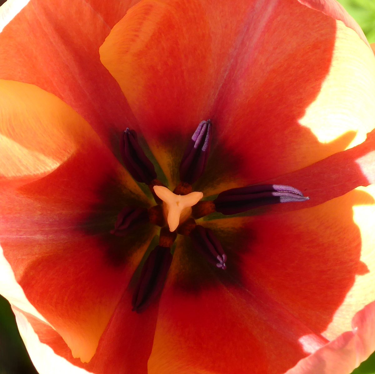 CatherineRosamundLowe tweet media