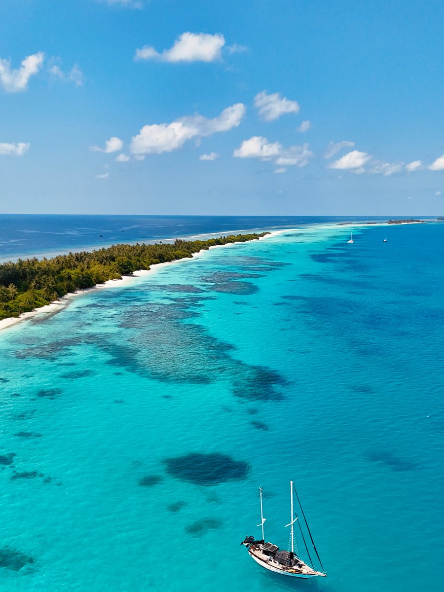 The World tweet media