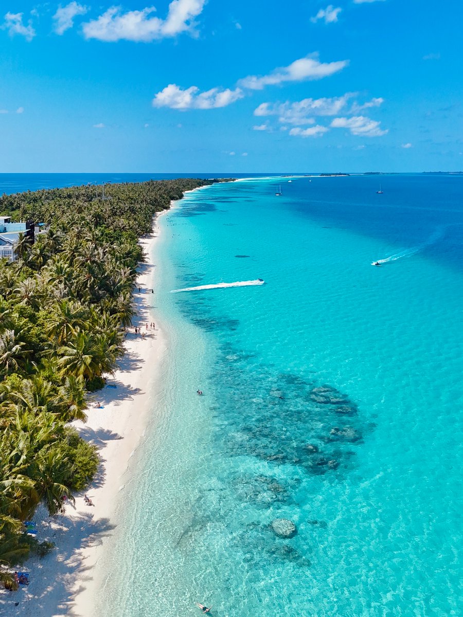 The World tweet media