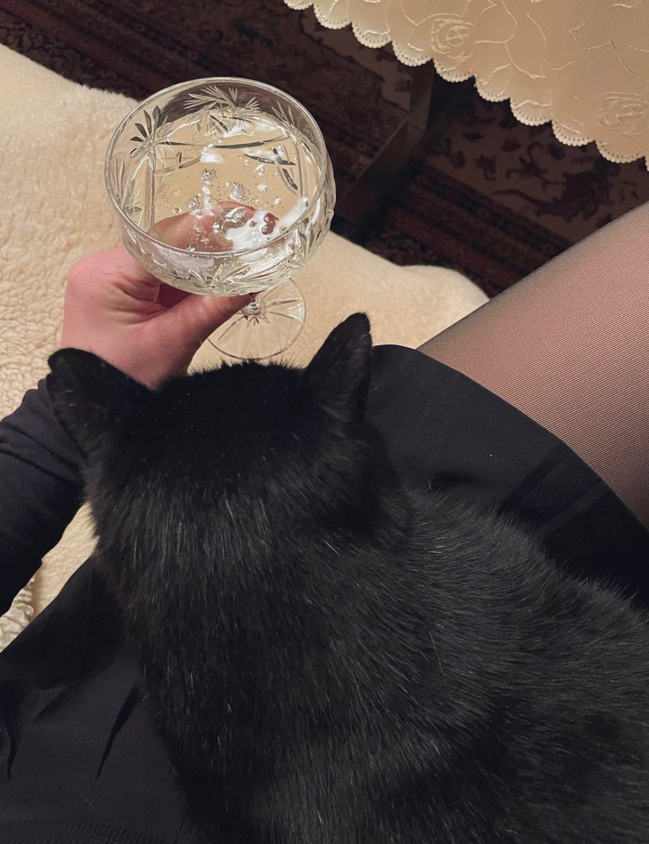 Wilhelmine tweet media