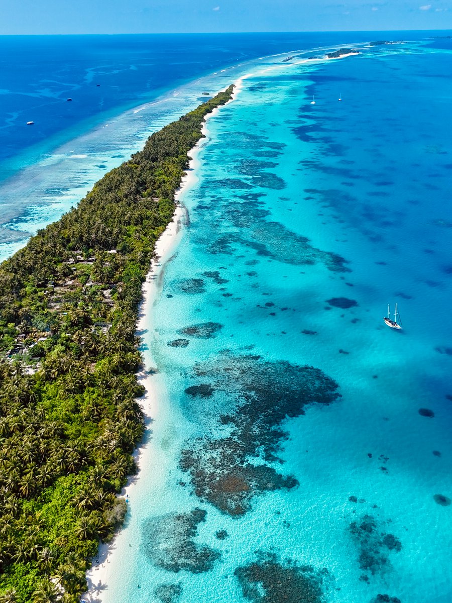 The World tweet media