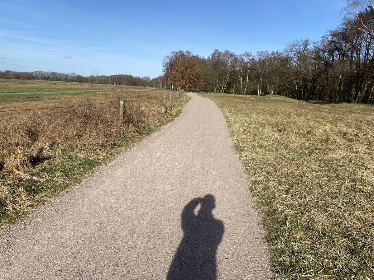 SuhailJi tweet media