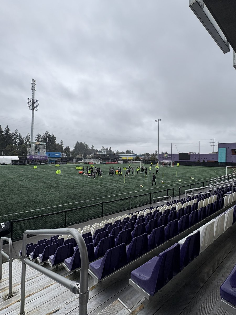 本橋託人▷人材会社の取締役 tweet media