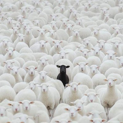 dreman_07's tweet photo. #NewProfilePic https://t.co/VlX5OXV3Fj