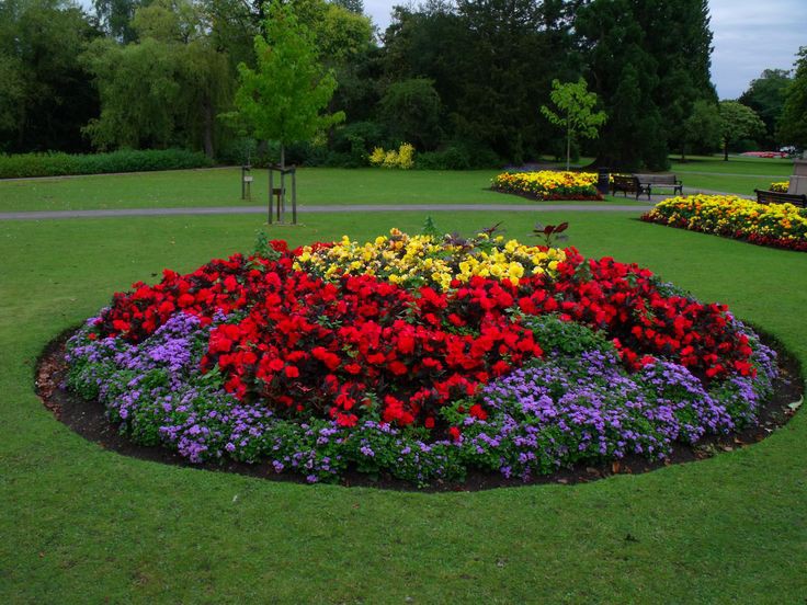 Sweet Nature (@sweet_nature1) on Twitter photo 