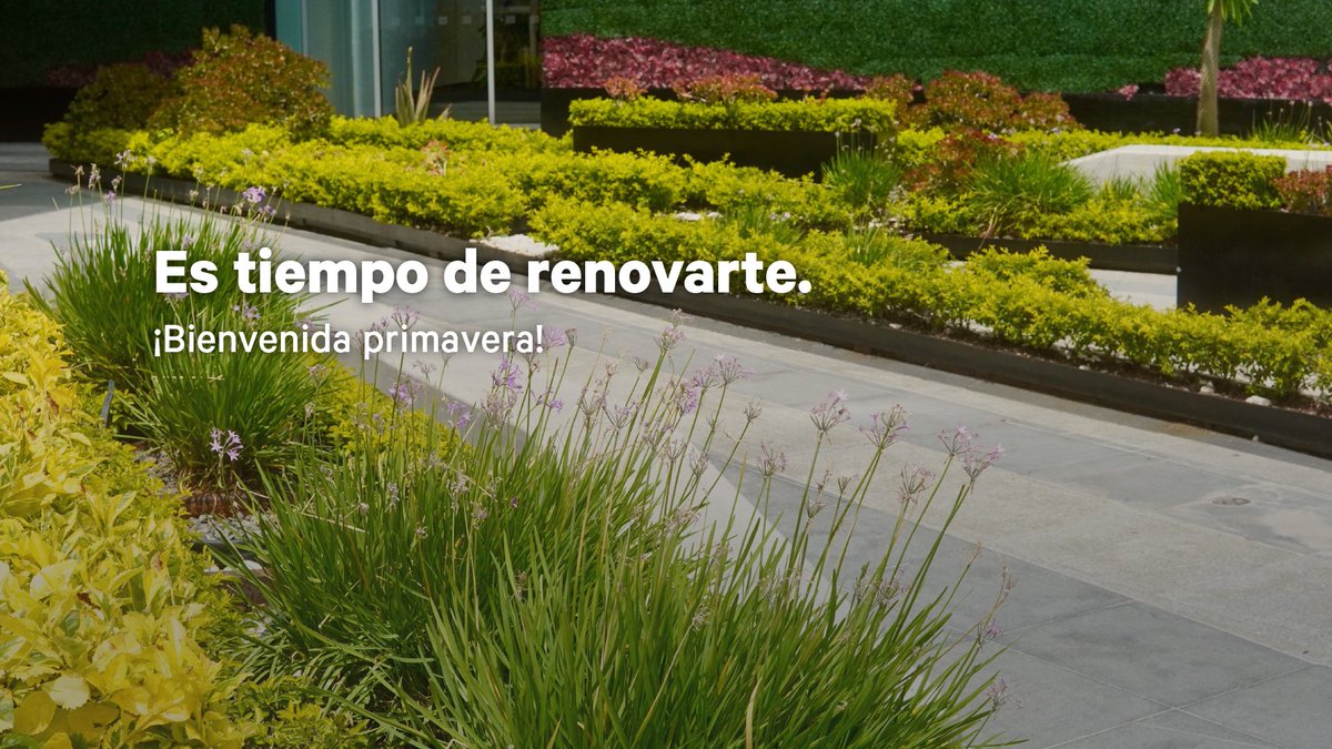 @AnteaMx tweet media