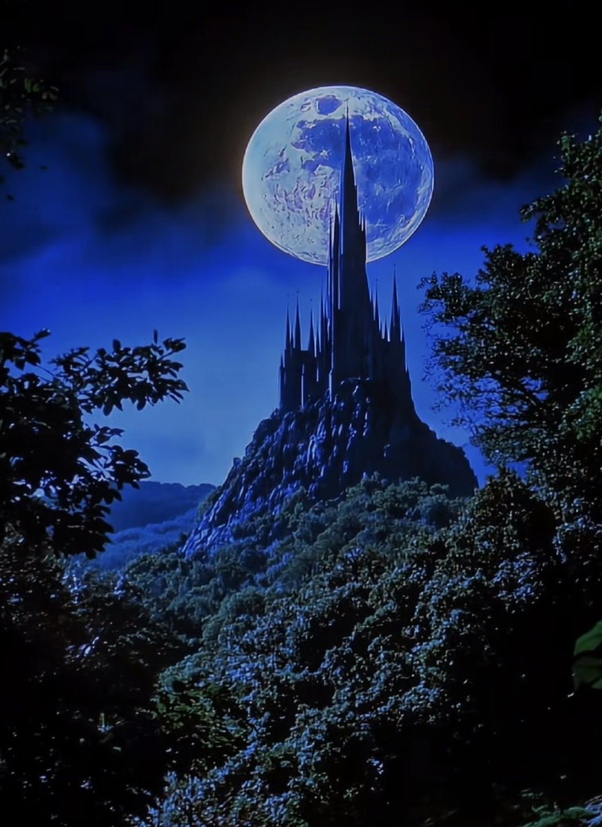 Diz 🫆 tweet media