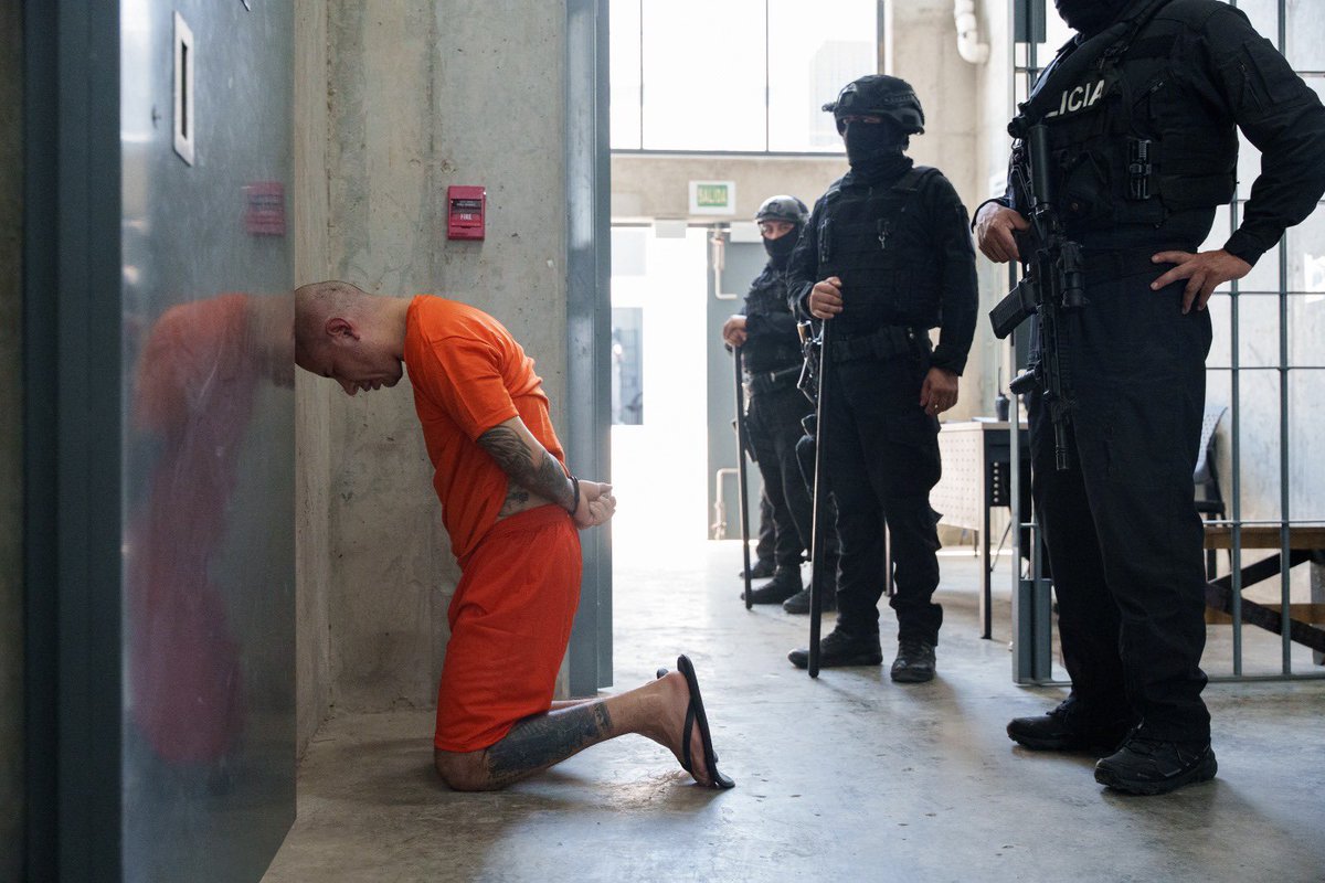 𝗠𝗲𝗺𝗲𝘀 𝗗𝗲𝗹 𝗠𝗶𝗷𝗶𝗻 tweet media