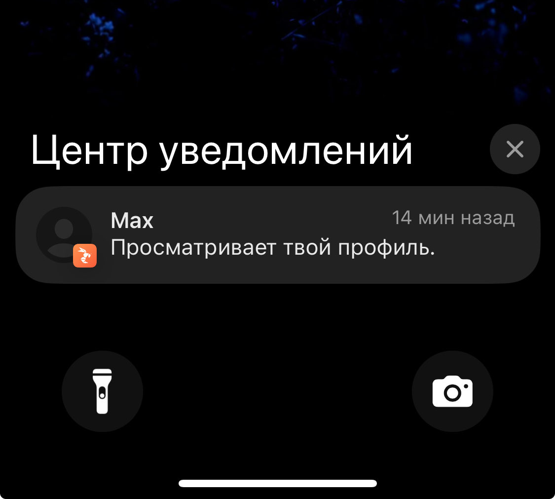 Рауш tweet media