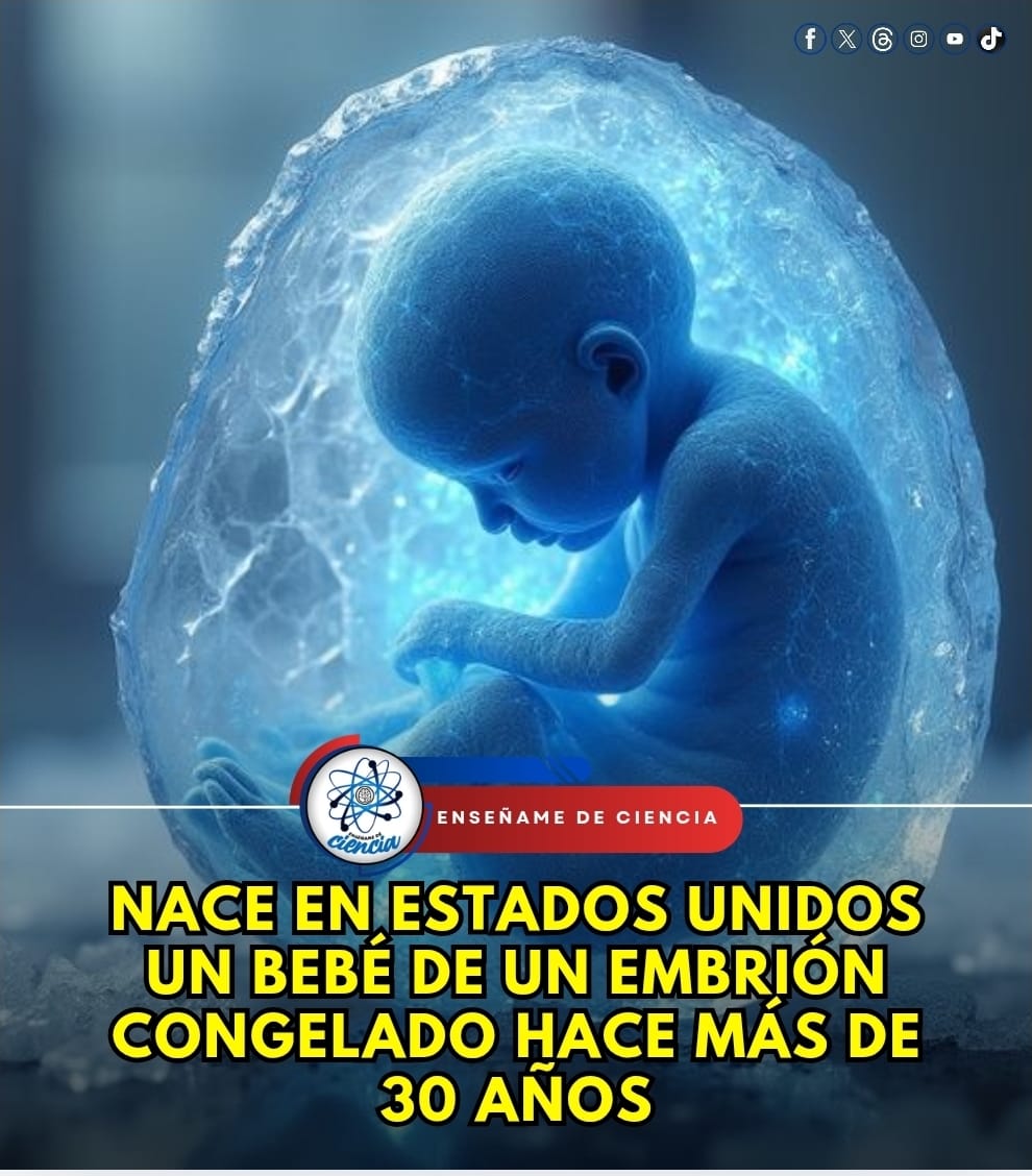 EnsedeCiencia's tweet photo. Un bebé llamado Thaddeus Daniel Pierce nació sano en Ohio, EE. UU., en julio de 2025, tras permanecer congelado como embrión durante más de 30 años (desde 1994). Este hecho establece un nuevo récord mundial de criopreservación, superando el récord anterior de 2022 y posicionándolo como el "bebé más viejo del mundo". 😱👇🏼