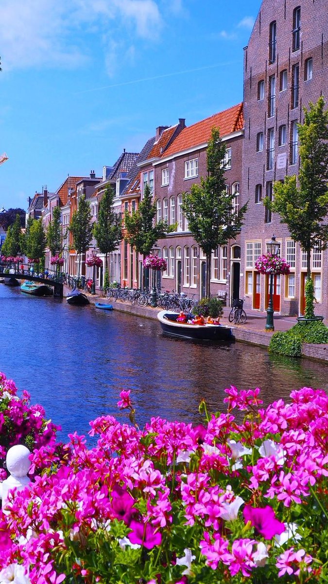 NatureRoot88's tweet photo. Amsterdam, Netherlands https://t.co/cE2WGeRfBN