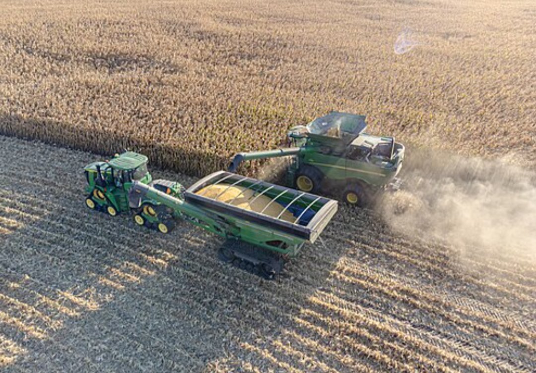 Patrick Heizer tweet media