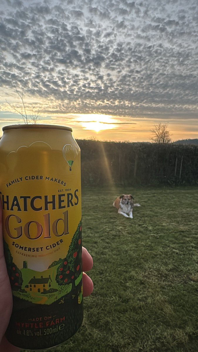 💂🏻‍♀️👋🏻вєαя🍻🇬🇧™ tweet media