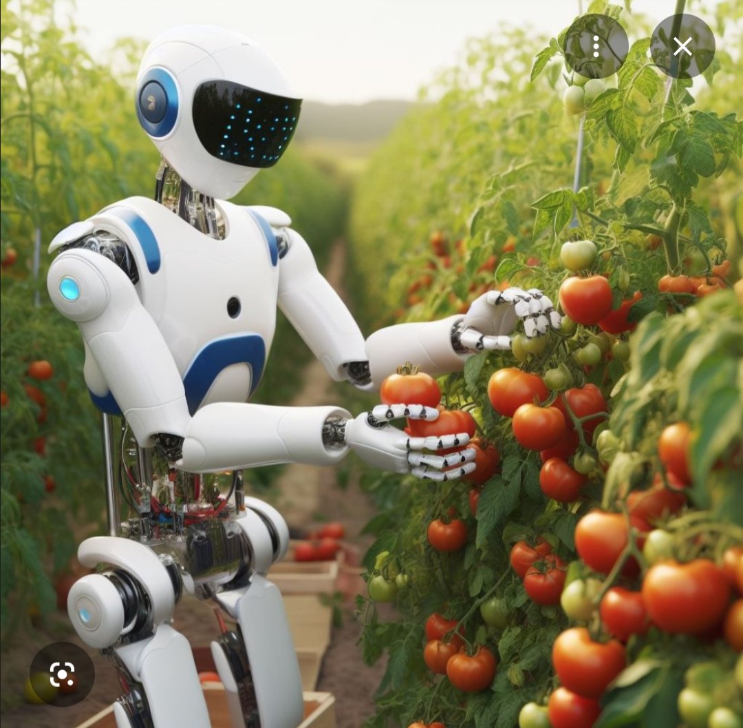 Patrick Heizer tweet media